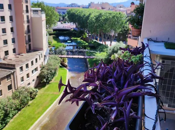 Le Balcon De La Basse Centre De * Perpignan