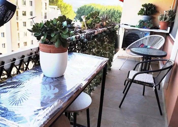 Le Balcon De La Basse Centre De Apartment Perpignan